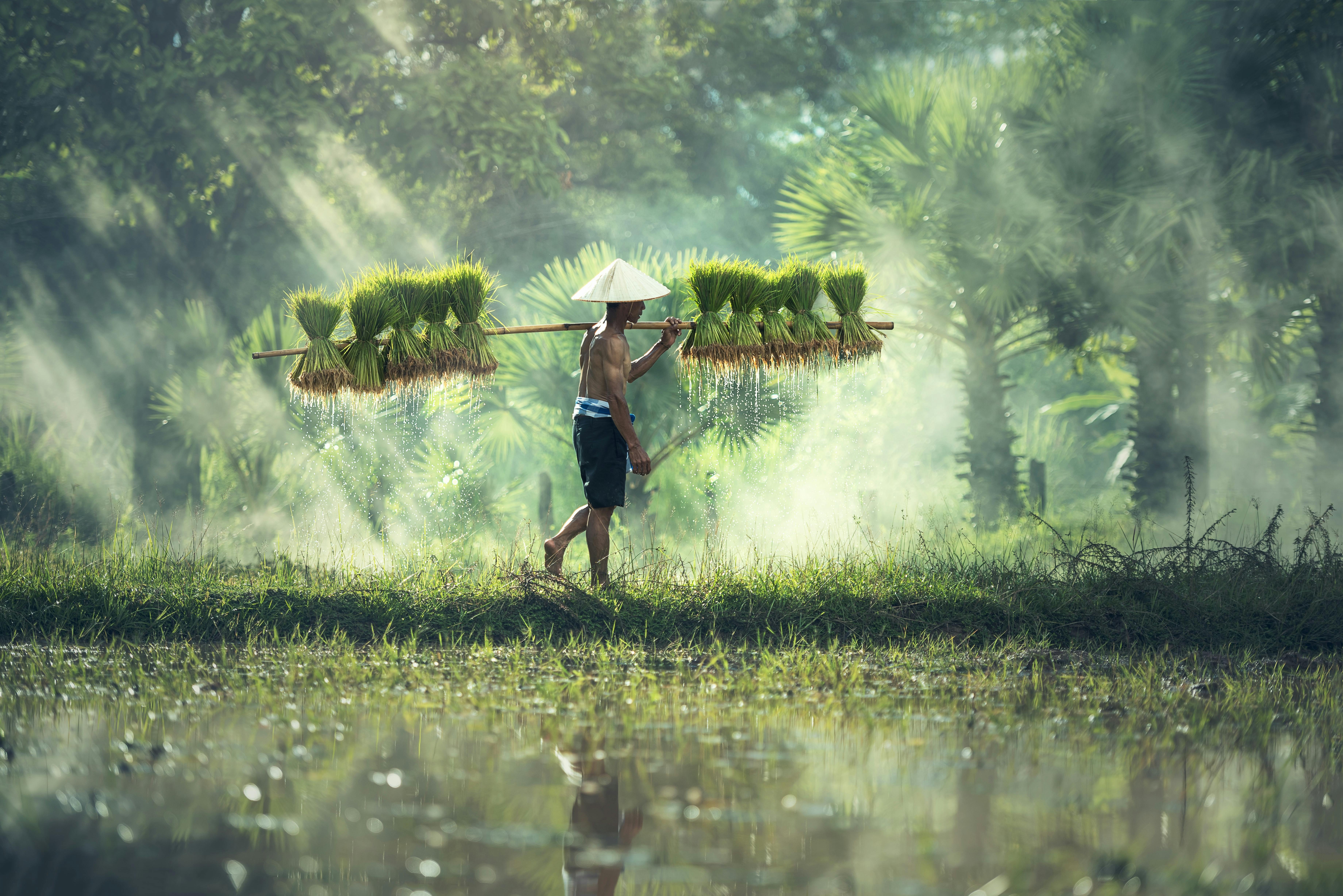 Agricultural Initiatives